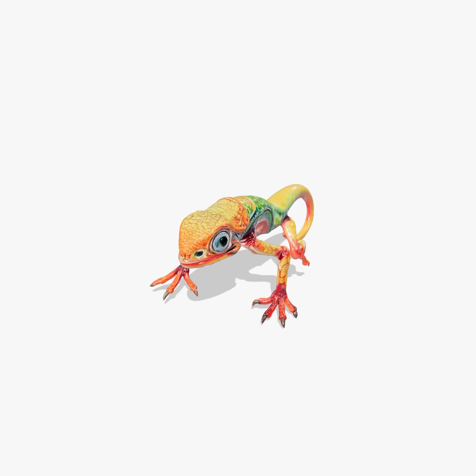 Colorful Fantasy Lizard Model Pack
